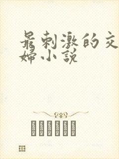 最刺激的交换夫妇小说