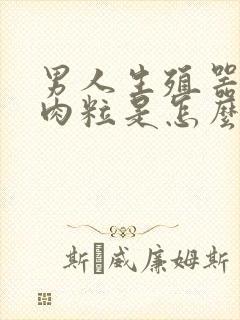 男人生殖器有小肉粒是怎么回事