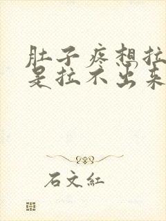 肚子疼想拉屎但是拉不出来一直放屁