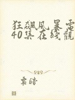 狂飙风暴电视剧40集在线观看免费