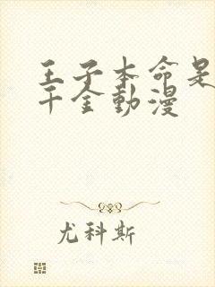 王子本命是恶役千金动漫