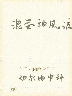 混蛋神风流封面