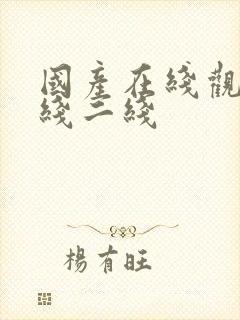 国产在线观看一线二线