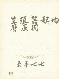 生殖器起肉粒什么原因