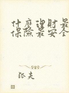 什么理财最好最保险最安全