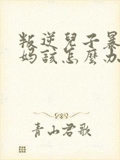 叛逆儿子暴躁老妈该怎么办