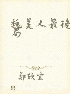 魏美人最后的结局封面