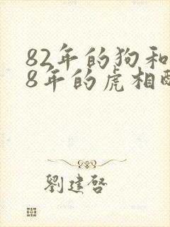 82年的狗和98年的虎相配吗