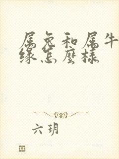 属兔和属牛的姻缘怎么样