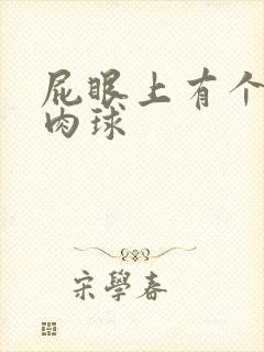 屁眼上有个硬的肉球封面