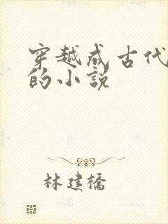 穿越成古代王爷的小说