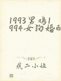 1993男鸡1994女狗婚配如何封面