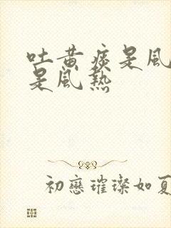 吐黄痰是风寒还是风热