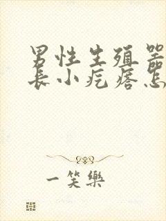 男性生殖器表皮长小疙瘩怎么回事