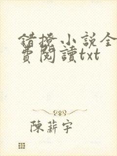 错撩小说全文免费阅读txt