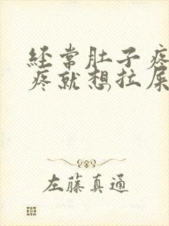 经常肚子疼,一疼就想拉屎,什么原因呢?