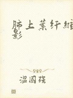 肺上叶纤维索条影