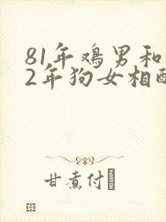 81年鸡男和82年狗女相配婚姻如何