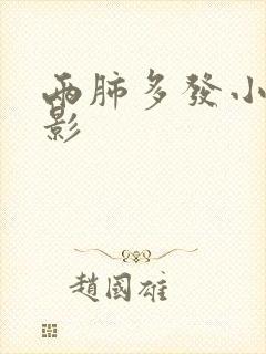 两肺多发小结节影