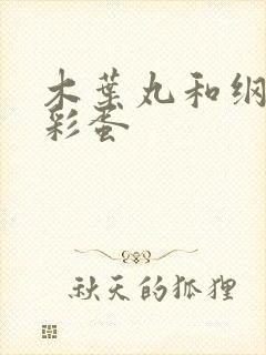 木叶丸和纲手的彩蛋