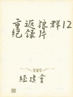 重返狼群12集纪录片