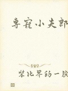 专宠小夫郎日常