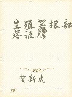 生殖器根部长疙瘩流脓封面