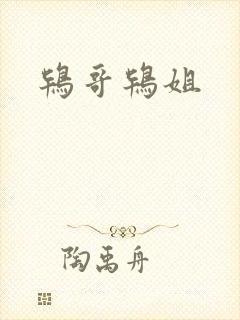 鸨哥鸨姐
