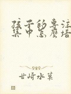 孩子的专注力不集中怎么培养