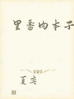 里番肉本子全彩封面