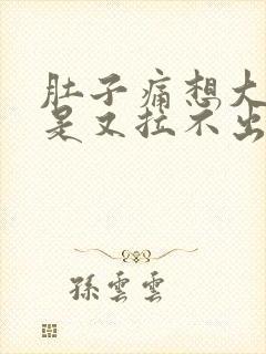 肚子痛想大便但是又拉不出来是什么原因