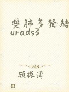 双肺多发结节lurads3