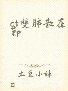 ct双肺散在结节