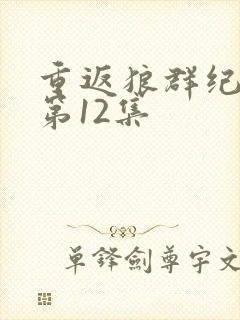 重返狼群纪录片第12集