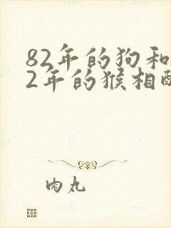 82年的狗和92年的猴相配吗封面