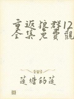 重返狼群12集全集免费观看封面