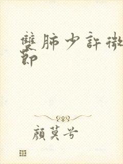 双肺少许微小结节