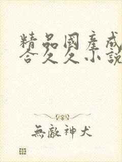 精品国产成人综合久久小说