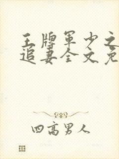 王牌军少之特战追妻全文免费txt