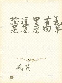 阴道里有气排出是怎么回事