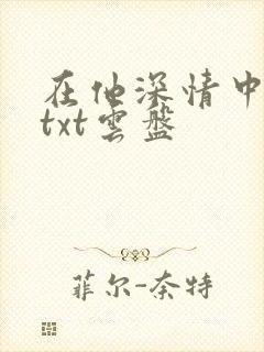 在他深情中陨落txt云盘封面