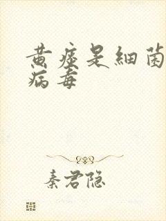 黄痰是细菌还是病毒