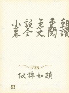 小说免费朝朝暮暮全文阅读封面