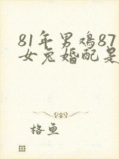 81年男鸡87女兔婚配是否合适封面