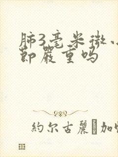 肺3毫米微小结节严重吗