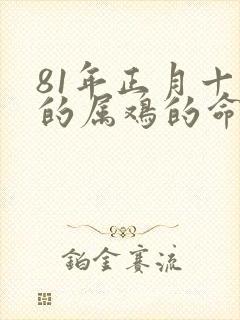 81年正月十二的属鸡的命运如何