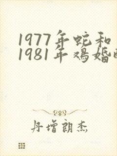 1977年蛇和1981年鸡婚配不