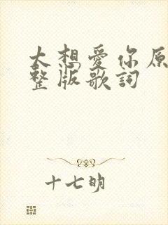 太想爱你原唱完整版歌词封面