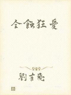 全蚀狂爱封面