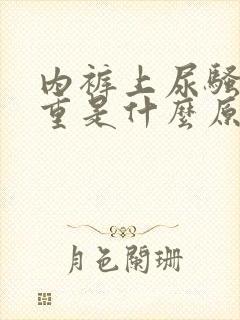 内裤上尿骚味很重是什么原因